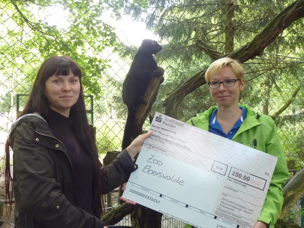 250 Euro für die Mohrenmakis im Eberswalder Zoo